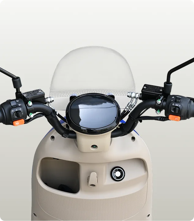 Crown Fairy Photo 5