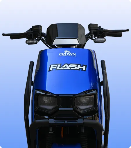 Crown Electric Flash Photo 5